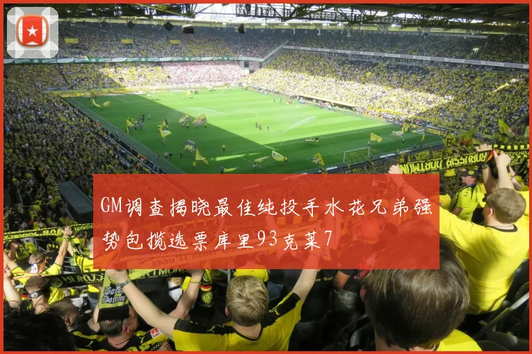 GM调查揭晓最佳纯投手水花兄弟强势包揽选票库里93克莱7