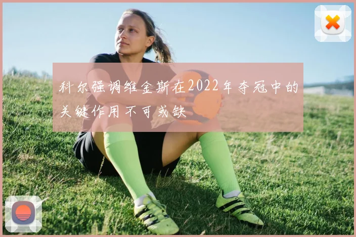 科尔强调维金斯在2022年夺冠中的关键作用不可或缺