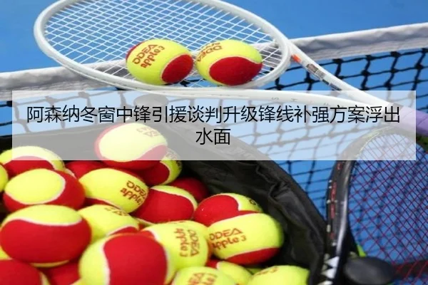 阿森纳冬窗中锋引援谈判升级锋线补强方案浮出水面 - hth